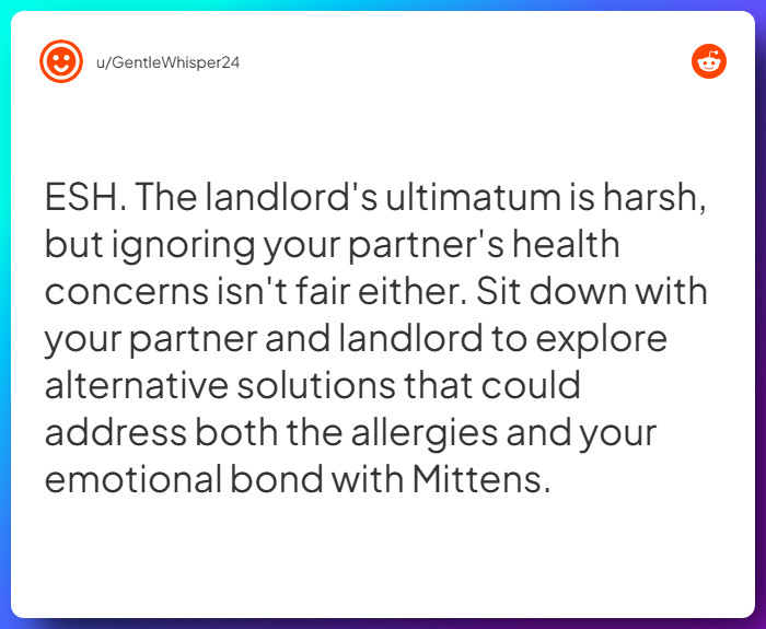 Comment from u/GentleWhisper24