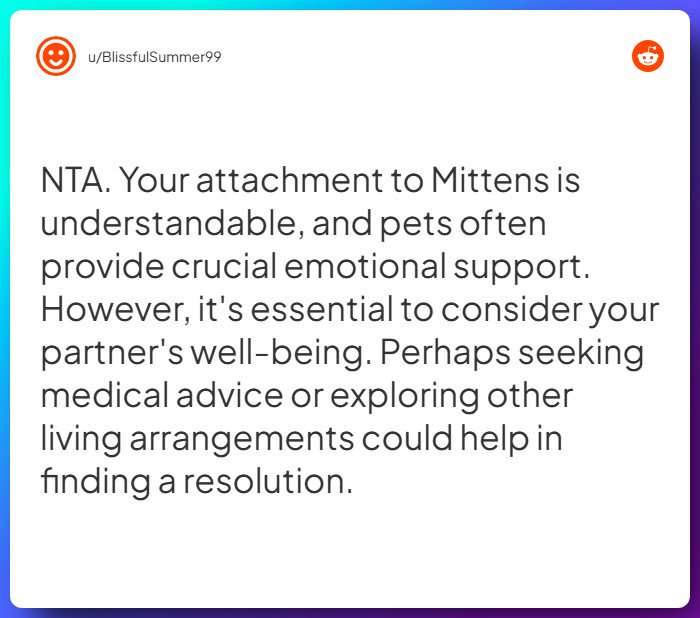 Comment from u/BlissfulSummer99