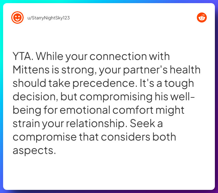 Comment from u/StarryNightSky123