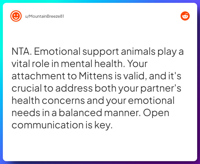 Comment from u/MountainBreeze81