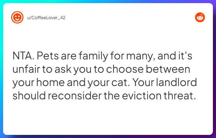 Comment from u/CoffeeLover_42