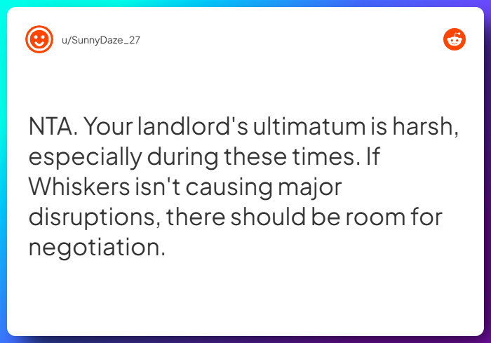 Comment from u/SunnyDaze_27