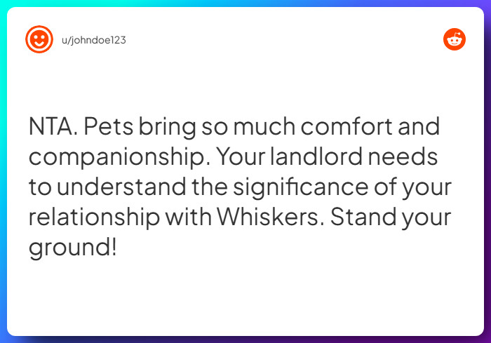 Comment from u/johndoe123