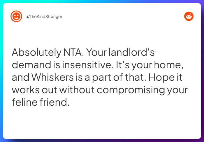 Comment from u/TheKindStranger