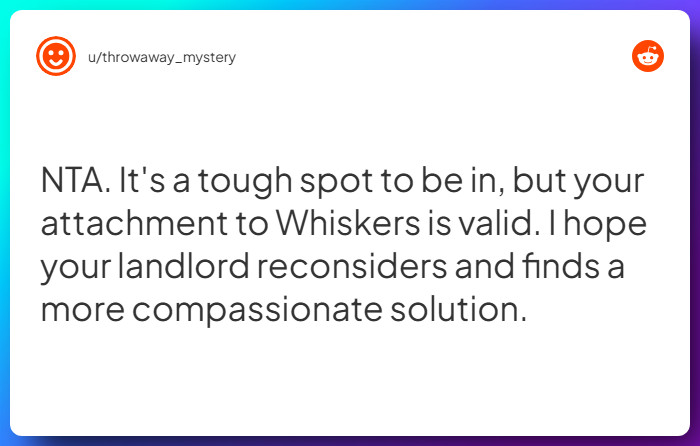 Comment from u/throwaway_mystery