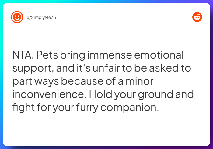 Comment from u/SimplyMe33