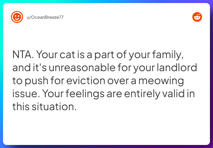 Comment from u/OceanBreeze77