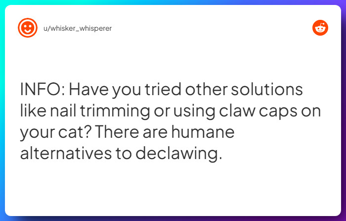 Comment from u/whisker_whisperer