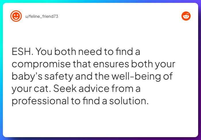 Comment from u/feline_friend73