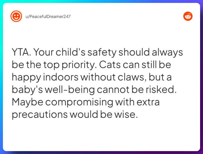 Comment from u/PeacefulDreamer247