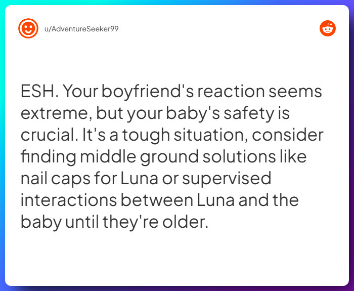 Comment from u/AdventureSeeker99