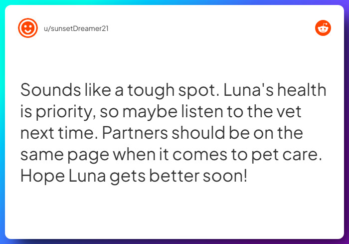 Comment from u/sunsetDreamer21