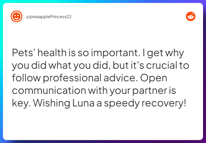 Comment from u/pineapplePrincess22