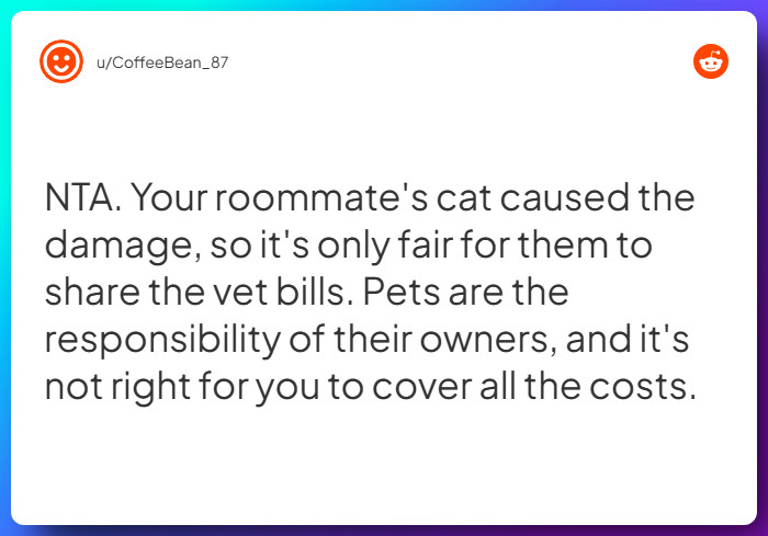 Comment from u/CoffeeBean_87