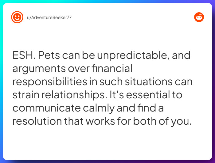 Comment from u/AdventureSeeker77