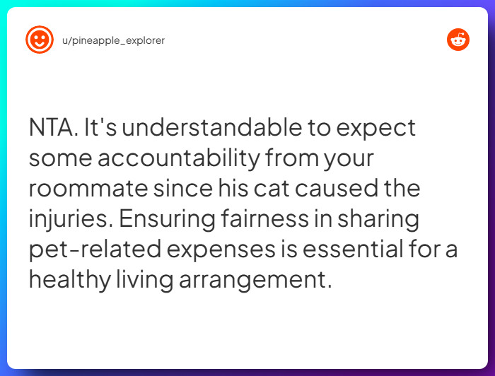 Comment from u/pineapple_explorer