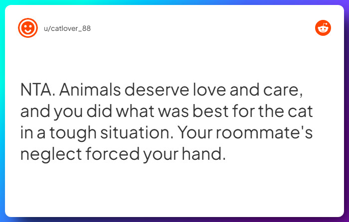 Comment from u/catlover_88