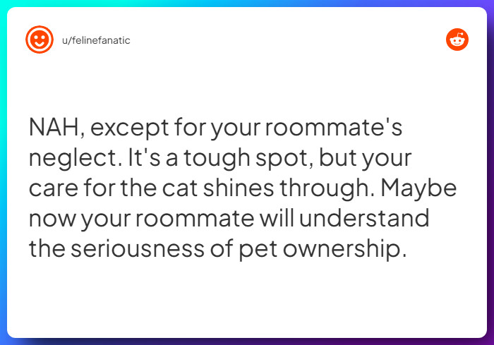 Comment from u/felinefanatic