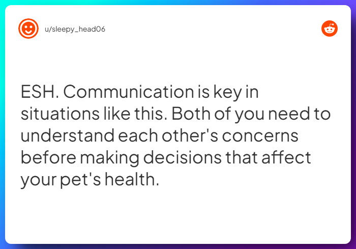 Comment from u/sleepy_head06