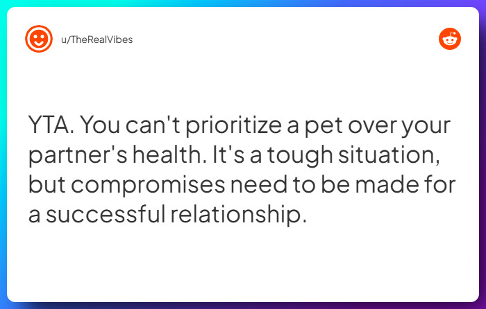 Comment from u/TheRealVibes