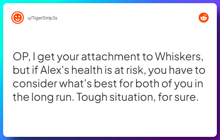 Comment from u/TigerStrip3s