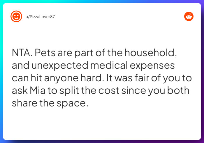 Comment from u/PizzaLover87