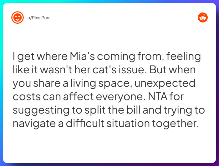 Comment from u/PixelPurr