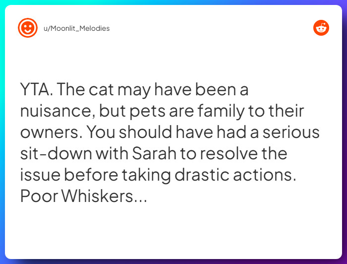 Comment from u/Moonlit_Melodies