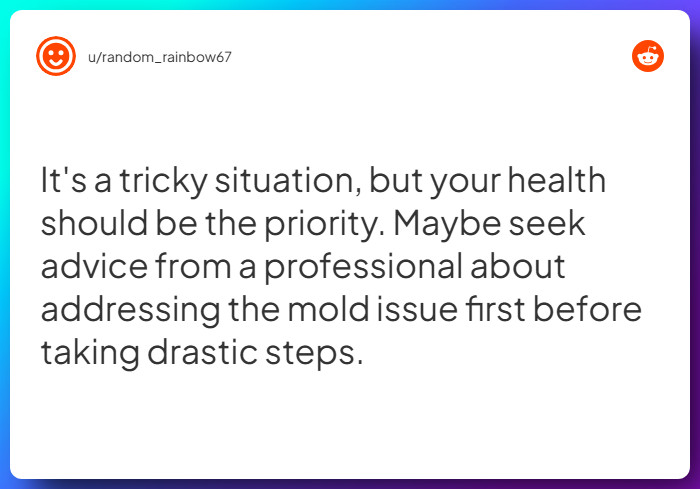 Comment from u/random_rainbow67