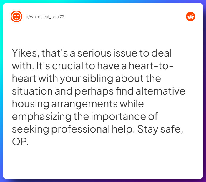 Comment from u/whimsical_soul72