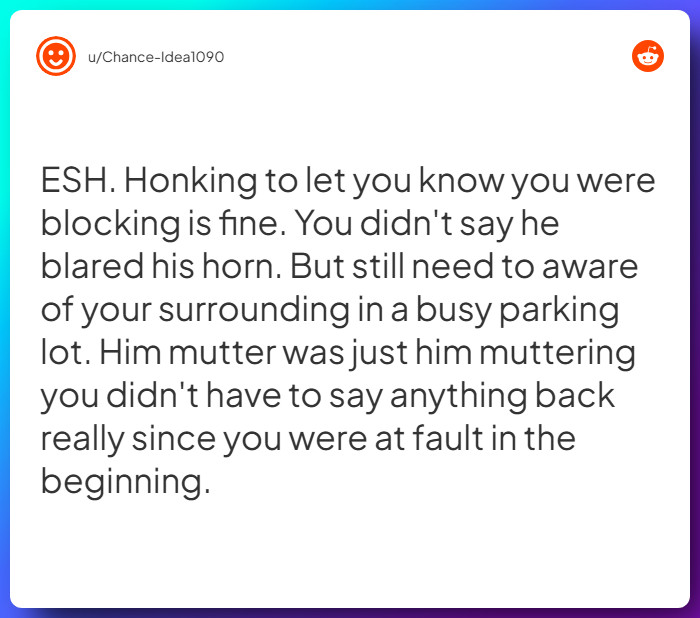 Comment from u/Chance-Idea1090