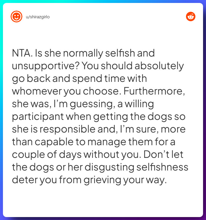 Comment from u/shirazgirlo