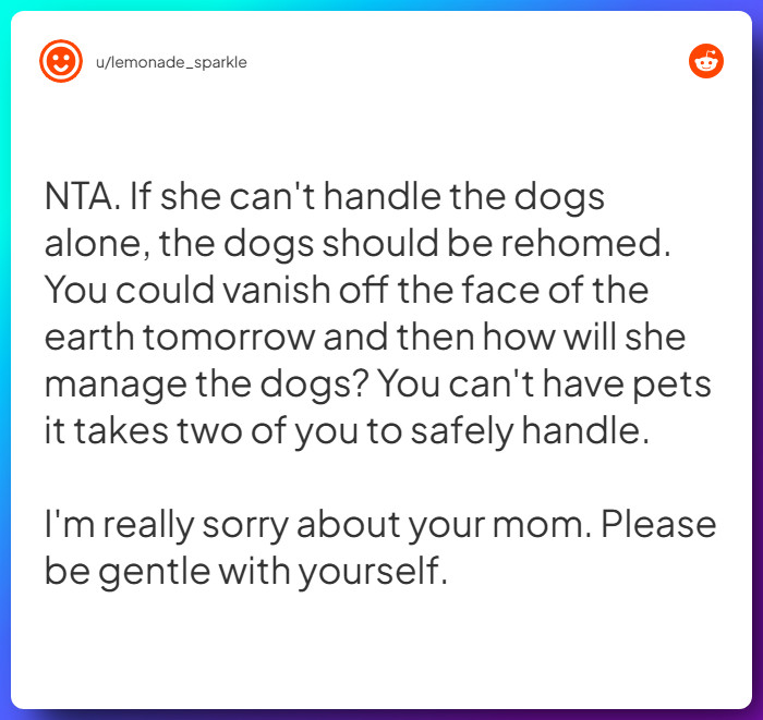 Comment from u/lemonade_sparkle