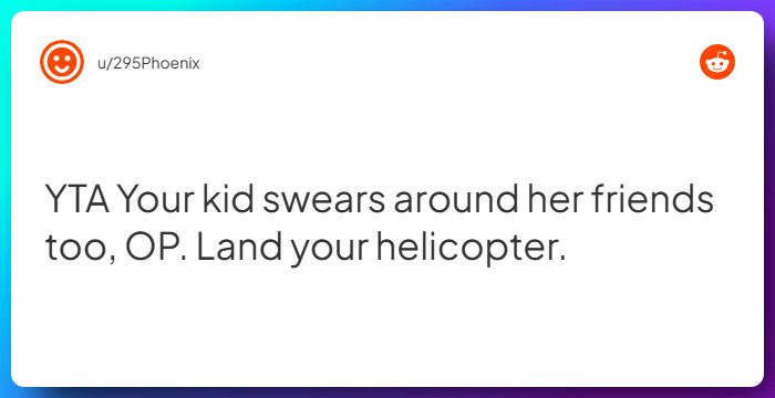 Comment from u/295Phoenix