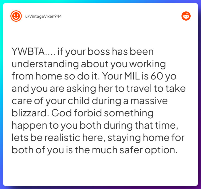 Comment from u/VintageVixen944