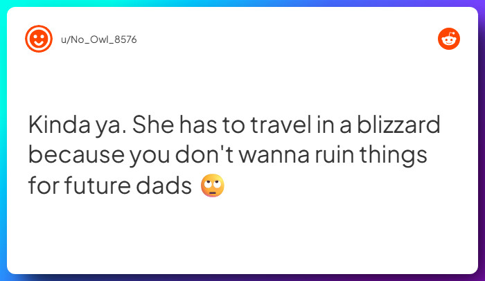 Comment from u/No_Owl_8576