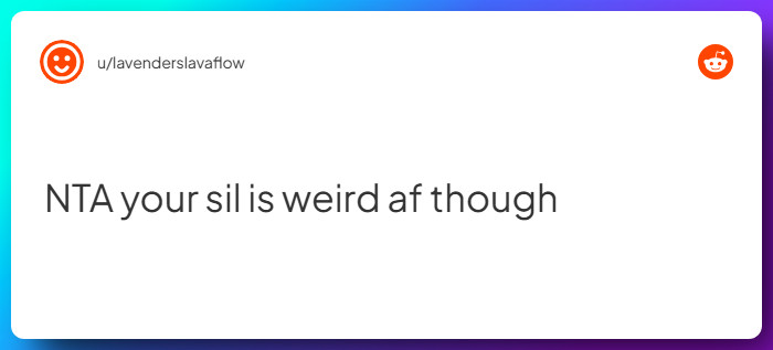 Comment from u/lavenderslavaflow