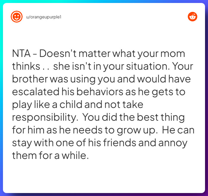 Comment from u/orangeupurple1