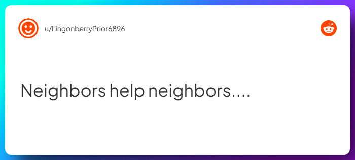 Comment from u/LingonberryPrior6896