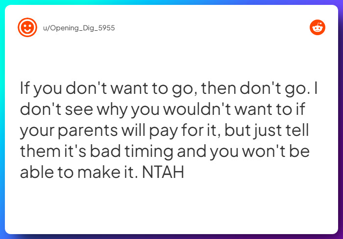 Comment from u/Opening_Dig_5955