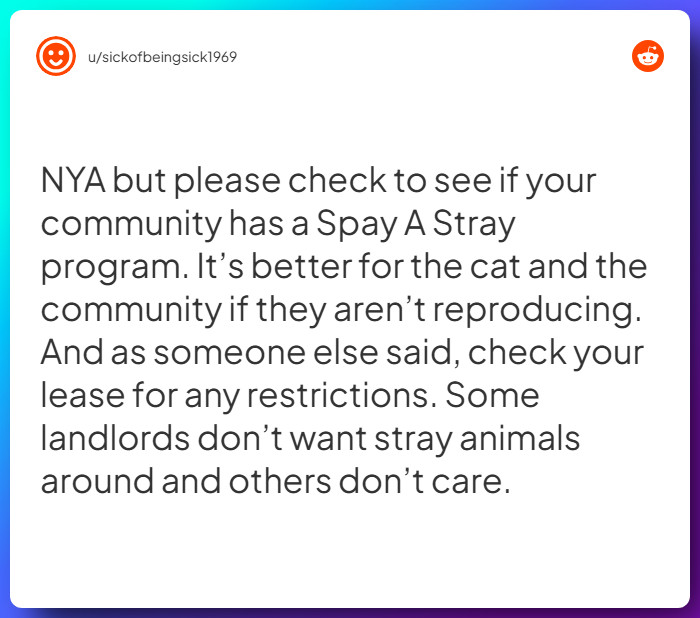 Comment from u/sickofbeingsick1969