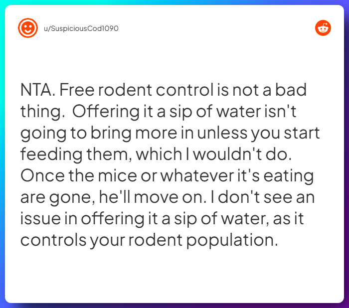 Comment from u/SuspiciousCod1090