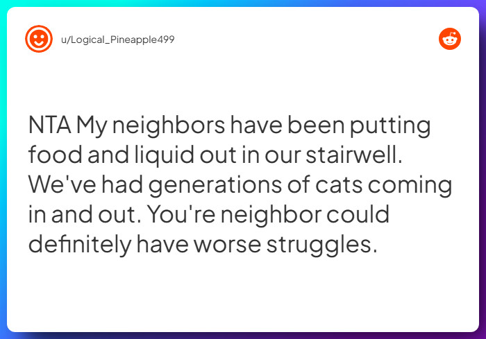 Comment from u/Logical_Pineapple499