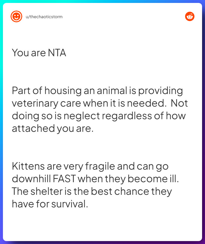 Comment from u/thechaoticstorm