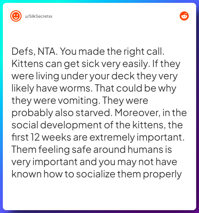 Comment from u/SilkSecretsx