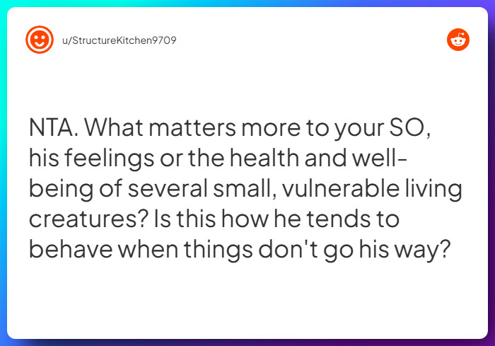 Comment from u/StructureKitchen9709