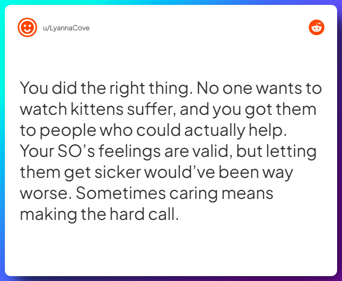 Comment from u/LyannaCove