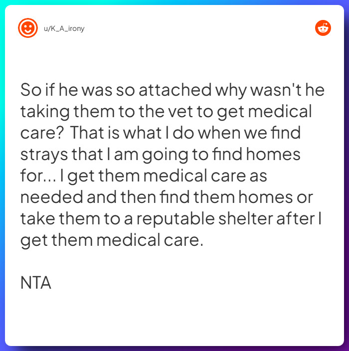 Comment from u/K_A_irony