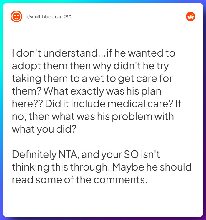 Comment from u/small-black-cat-290