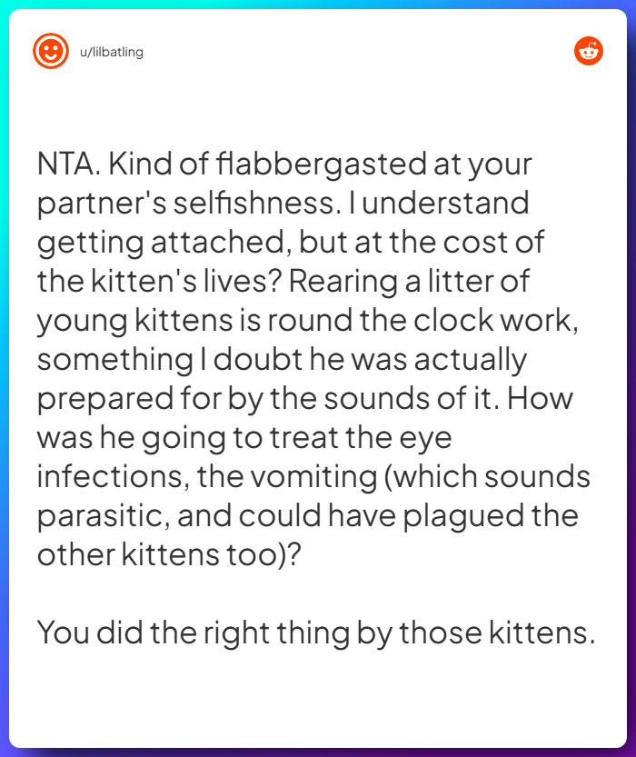 Comment from u/lilbatling